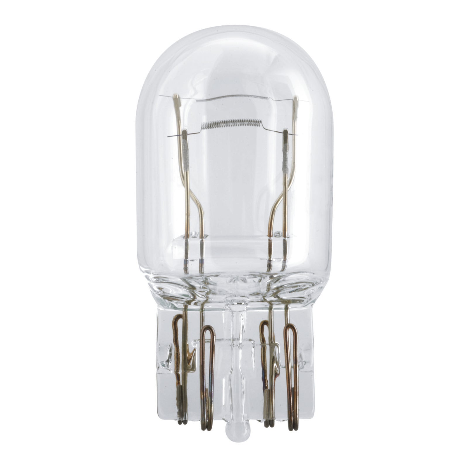 Philips Bulb W21W/5W 12066 ST 12V CP For Honda GL1800 2025-2026 PHW215W12066ST#