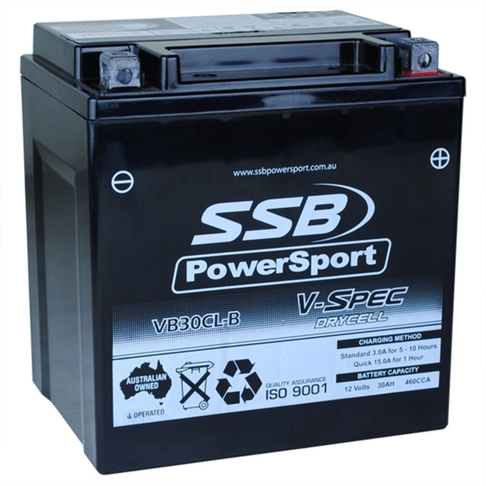 New SSB 12 Volt V-Spec High Perform AGM Battery 4-VB30CL-B