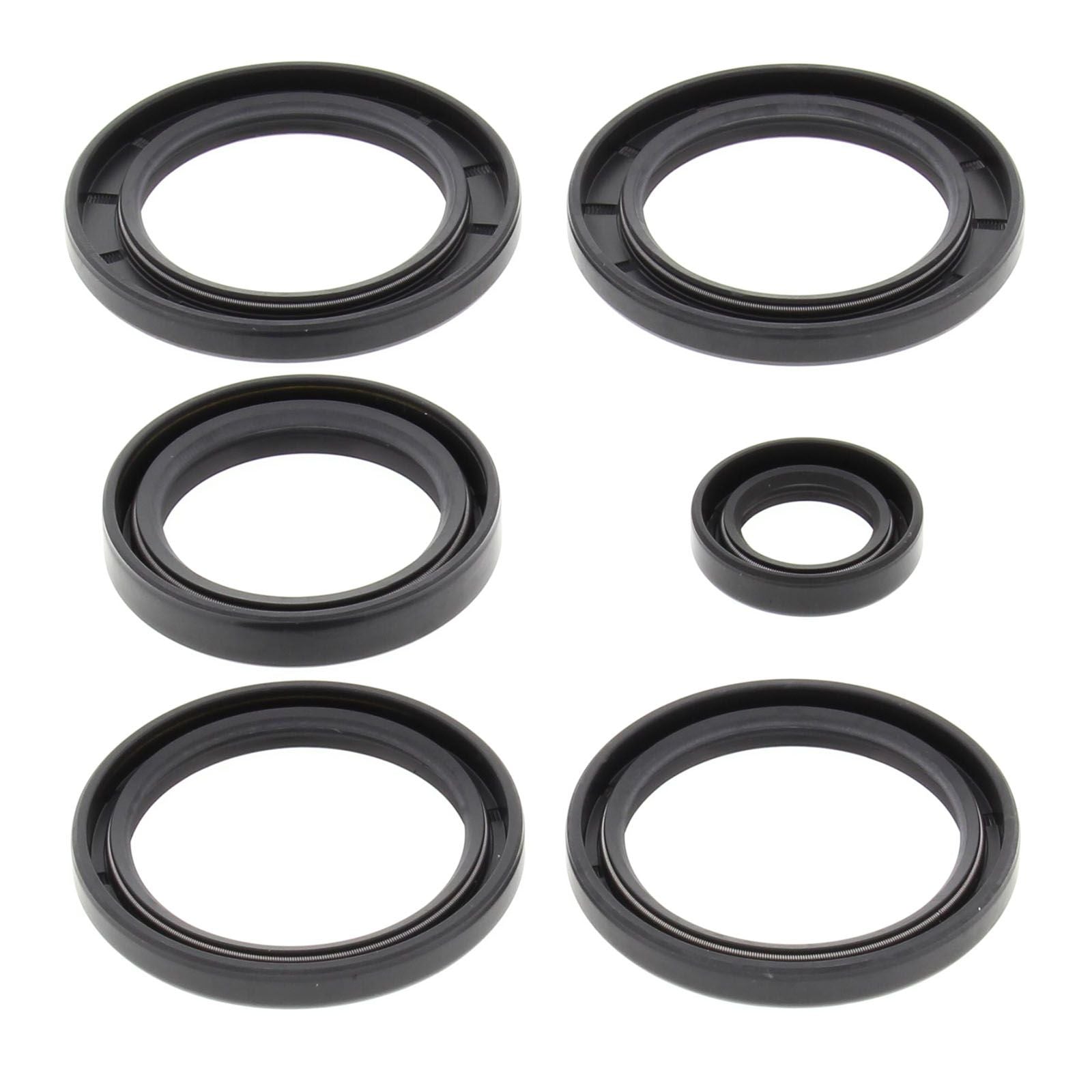 New ALL BALLS Racing Differential Seal Kit #AB2520625