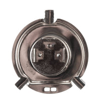 New WHITES Globes 12V 45/45W H4 Halogen (ea) #ELB12414T