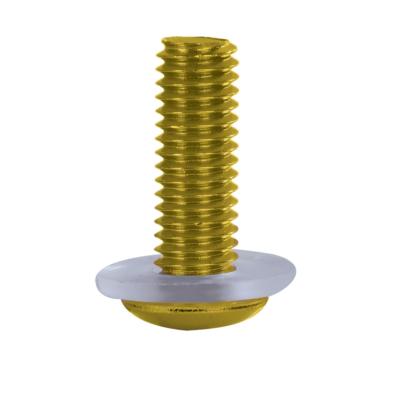 New OXFORD Screen Screws - Gold #OXOX566